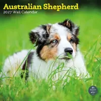 Baker & Bray Australian Shepherd Kalender 2027