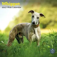 Baker & Bray Whippet Kalender 2027