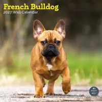 Baker & Bray Franse Bulldog Kalender 2027