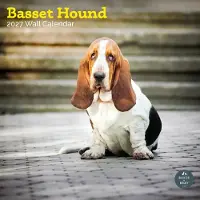 Baker & Bray Basset Hound Kalender 2027