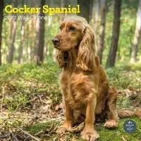Baker & Bray Engelse Cocker Spaniel Kalender 2027