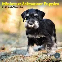 Baker & Bray Miniatuur Schnauzer Puppies Kalender 2027