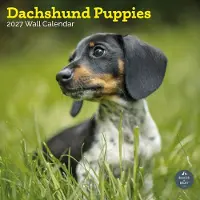 Baker & Bray Teckel Puppies Kalender 2027