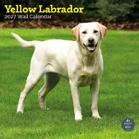 Baker & Bray Labrador Retriever Blond Kalender 2027