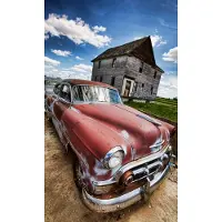 Dimex Fotobehang - Veteran Car 150x250cm - Vliesbehang