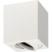 LEDVION - LED Opbouwspots - Dimbaar - Wit ø80mm - IP20 - GU10