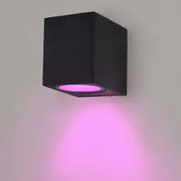 LEDVION - SMART LED Wandlamp San Diego - IP54 - Zwart