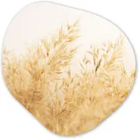 MuchoWow Organische wanddecoratie 60x60 cm - Organisch schilderij Pampasgras - Zon - Gras - Muurdecoratie woonkamer - Kamer decoratie - Schilderijen - Muurcirkel aesthetic