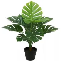 Buitengewoon Boet Monstera 70 cm kunstplant Buitengewoon de Boet