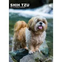 CalendarsRUs Shih Tzu A3 Kalender 2027