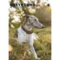 CalendarsRUs Greyhound A3 Kalender 2027