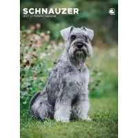 CalendarsRUs Schnauzer A3 Kalender 2027