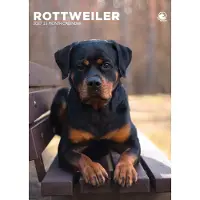 CalendarsRUs Rottweiler A3 Kalender 2027