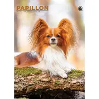 CalendarsRUs Papillon A3 Kalender 2027