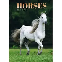 CAROUSEL CALENDARS Paarden A5 Agenda 2027