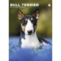 CalendarsRUs Bull Terrier A3 Kalender 2027