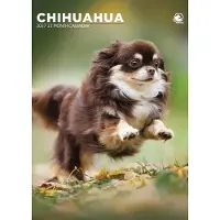 CalendarsRUs Chihuahua A3 Kalender 2027