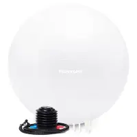 Tunturi Anti Burst Fitness bal met Pomp - Yoga bal 90 cm - Pilates bal - Zwangerschapsbal – 220 kg gebruikersgewicht - Incl Trainingsapp – Wit