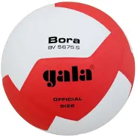 Gala Volleybalbal Bora 10 Bv5675s