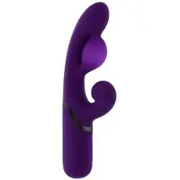 Evolved Novelties Evolved - Pleasure Puff Rabbit Vibrator - Purple