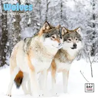 Dayplanner Wolven Kalender 2026