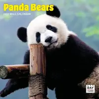 Dayplanner Panda Kalender 2026