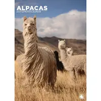 CalendarsRUs Alpaca A3 Kalender 2027