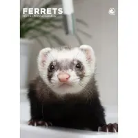 CalendarsRUs Fretten A3 Kalender 2027