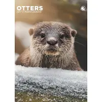 CalendarsRUs Otter A3 Kalender 2027