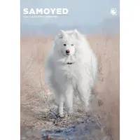 CalendarsRUs Samojeed A3 Kalender 2027