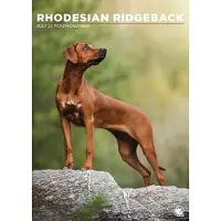 CalendarsRUs Rhodesian Ridgeback A3 Kalender 2027
