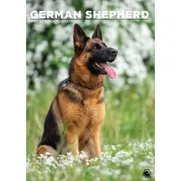 CalendarsRUs Duitse Herder A3 Kalender 2027