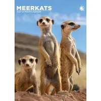 CalendarsRUs Stokstaartjes A3 Kalender 2027