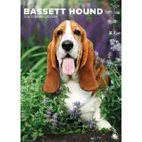 CalendarsRUs Basset Hound A3 Kalender 2027