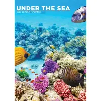 CalendarsRUs Onderwaterwereld A3 Kalender 2027