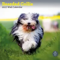 Baker & Bray Bearded Collie Kalender 2027