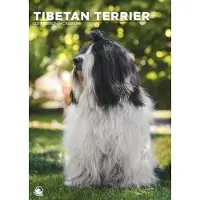 CalendarsRUs Tibetaanse Terrier A3 Kalender 2027