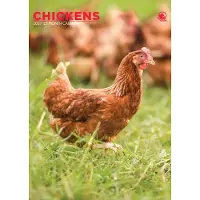 CalendarsRUs Kippen A3 Kalender 2027