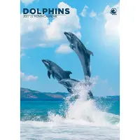 CalendarsRUs Dolfijnen A3 Kalender 2027
