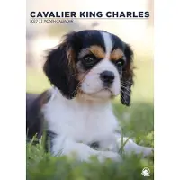 CalendarsRUs Cavalier King Charles Spaniel A3 Kalender 2027