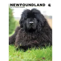 CalendarsRUs Newfoundlander A3 Kalender 2027