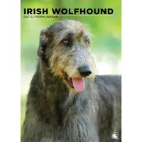 CalendarsRUs Ierse Wolfshond A3 Kalender 2027