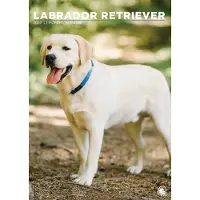 CalendarsRUs Labrador Retriever Blond A3 Kalender 2027