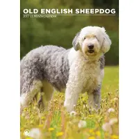 CalendarsRUs Old English Sheepdog A3 Kalender 2027