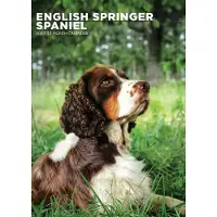 CalendarsRUs Engelse Springer Spaniel A3 Kalender 2027