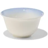 HEMA Schaaltje ⌀10.5x5.5cm aardewerk kleurverloop (blauw)