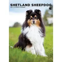CalendarsRUs Shetland Sheepdog A3 Kalender 2027