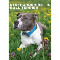 CalendarsRUs Staffordshire Bull Terrier A3 Kalender 2027