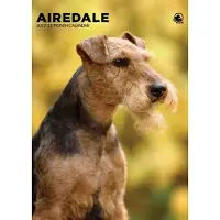 CalendarsRUs Airedale Terrier Kalender 2027 A3