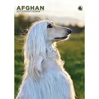 CalendarsRUs Afghaanse Windhond A3 Kalender 2027